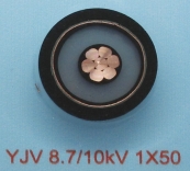 YJV 8.7/10kV 1X50