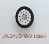 JKLGY/Q 10kV 120/20