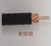 JKYJ 1kV 1X35