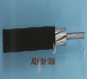 JKLV 1kV 1X50